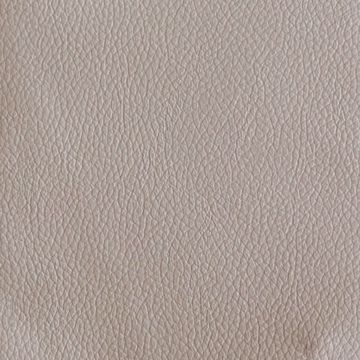 Immagine di Nevada 19